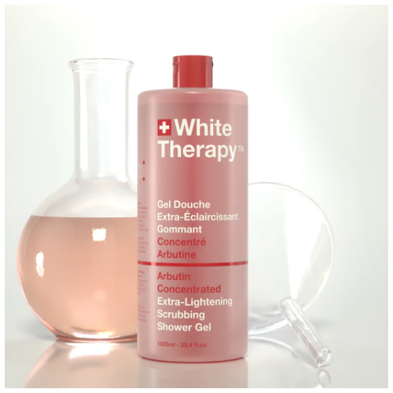 bird of paradise bird of paradise